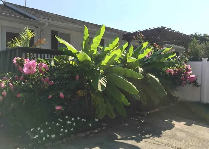 Crow'S Nest - Private Guest Apt Near Bike Trail/3.7 Mi To Beach